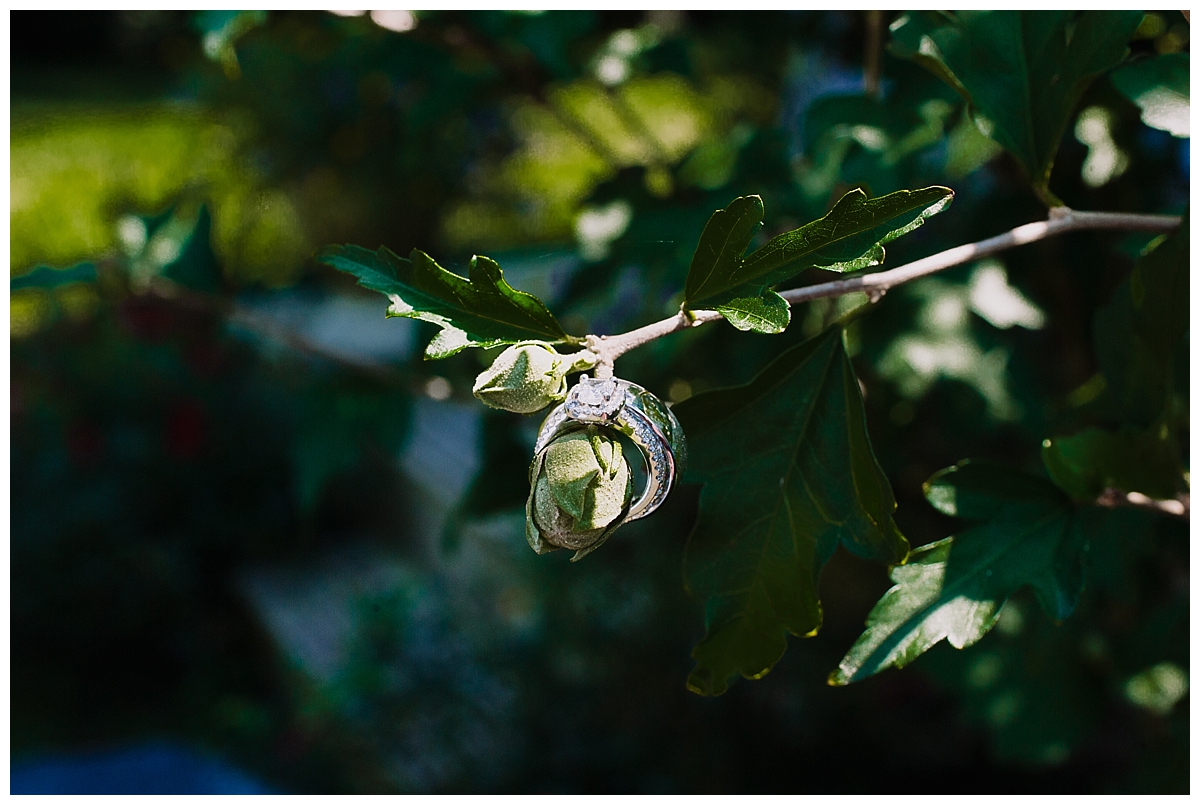 vivalove-sarah-zac-new-hope-pennsylvania-bowman-tower-wildflower-preserve-wedding_0109.jpg