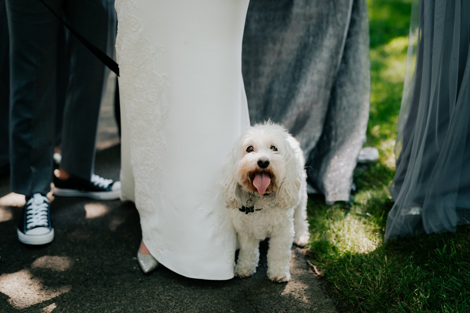 philadelpia-new-jersey-wedding-photographer-moody-reception-design-details-cityscape_0451.jpg