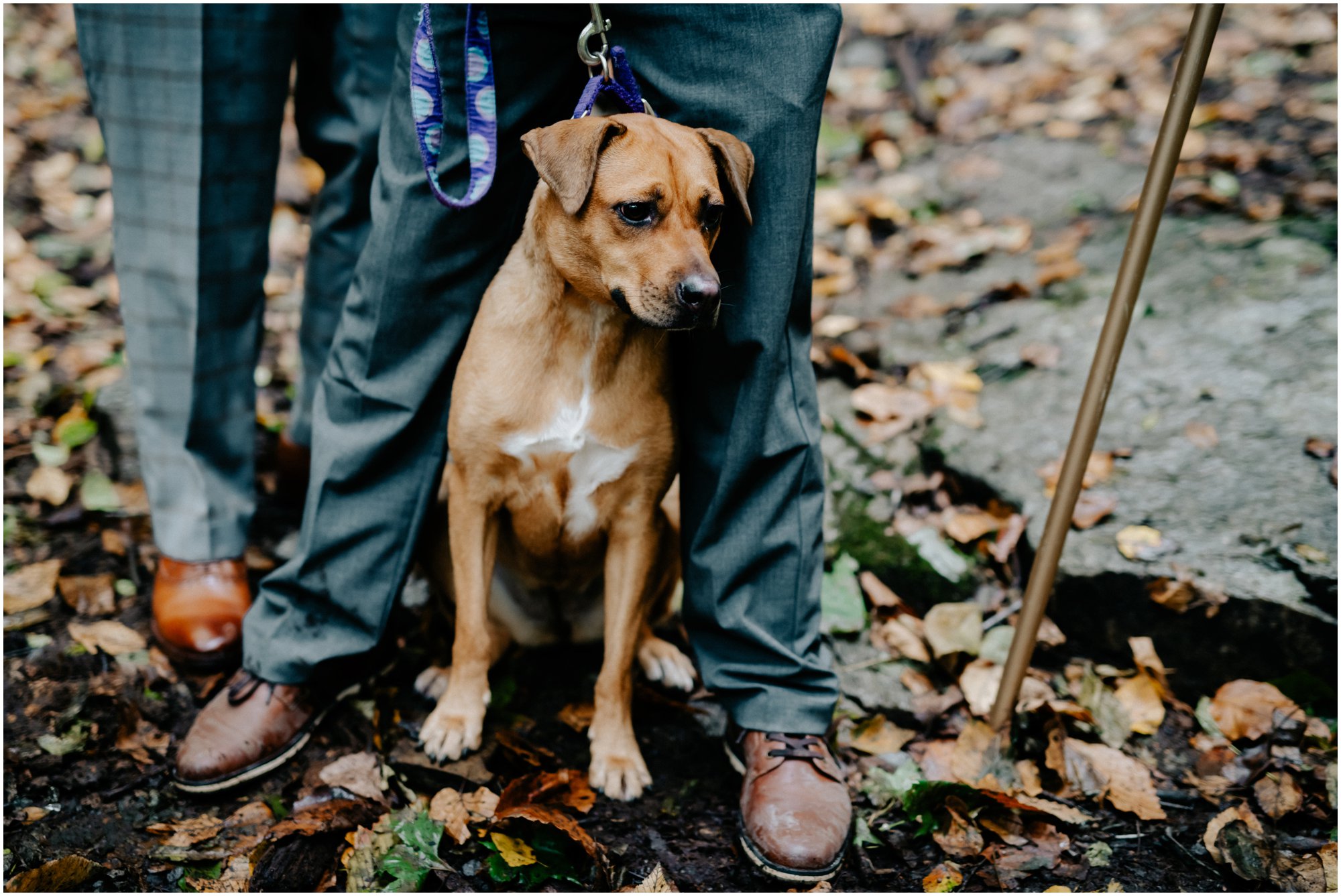 Autumn Wedding in Fairmount Park