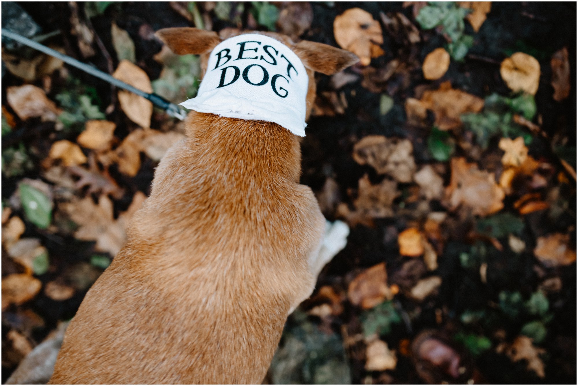 Autumn Wedding in Fairmount Park