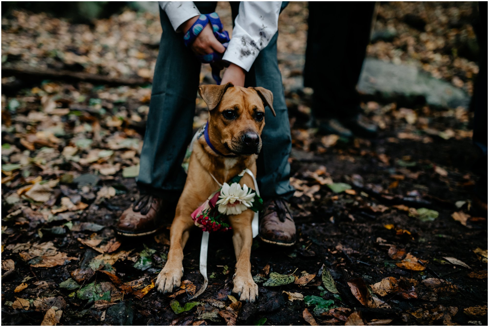 Autumn Wedding in Fairmount Park