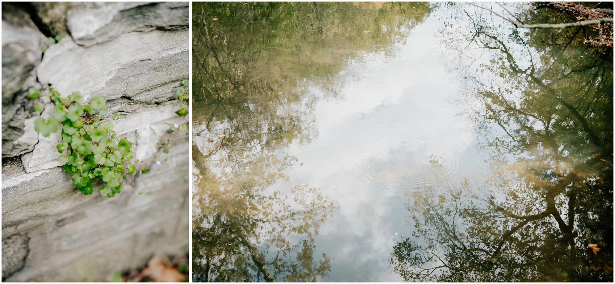 Autumn Wedding in Fairmount Park