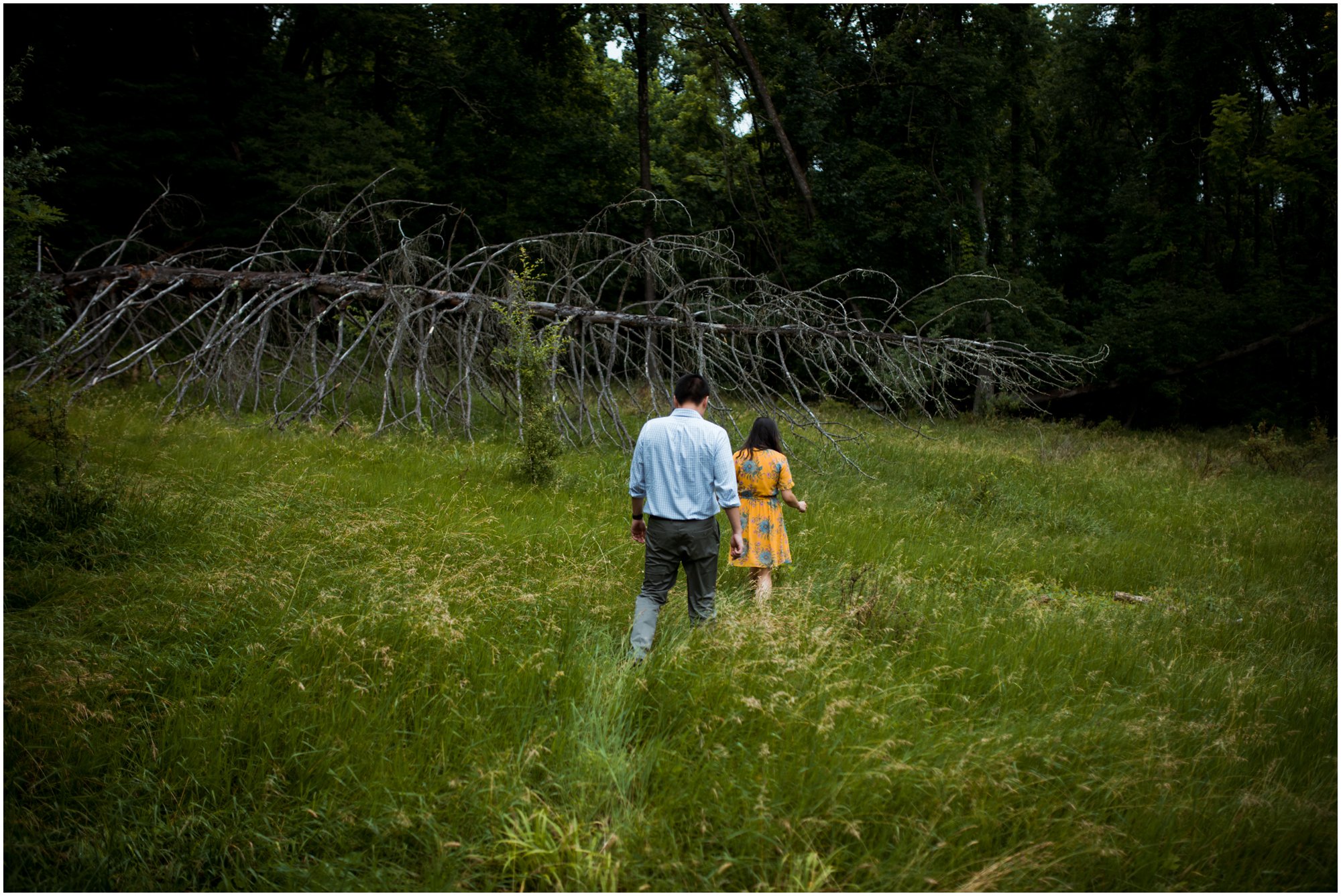 Summer Engagement Session at Bowman's Hill Wildlife Preserve