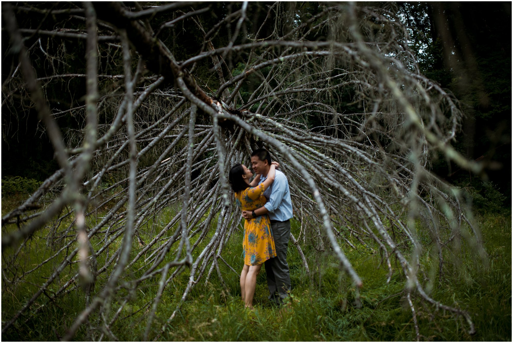 Summer Engagement Session at Bowman's Hill Wildlife Preserve