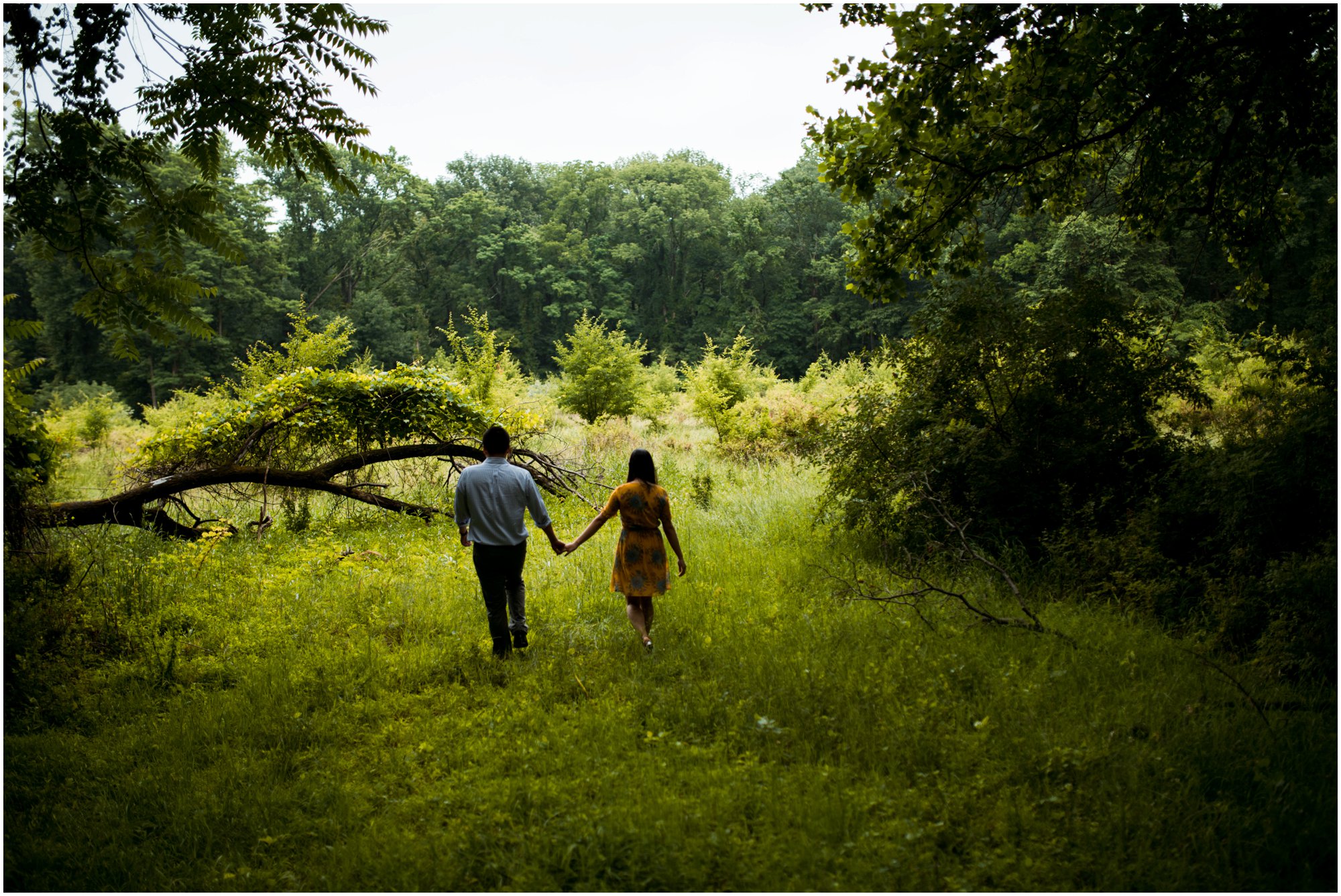 Summer Engagement Session at Bowman's Hill Wildlife Preserve