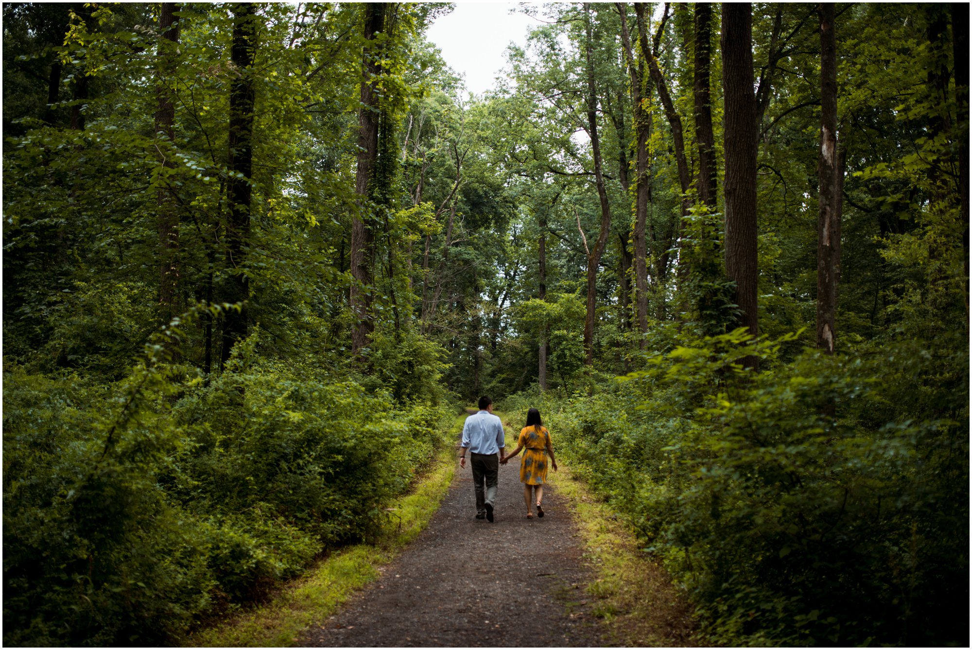 Summer Engagement Session at Bowman's Hill Wildlife Preserve