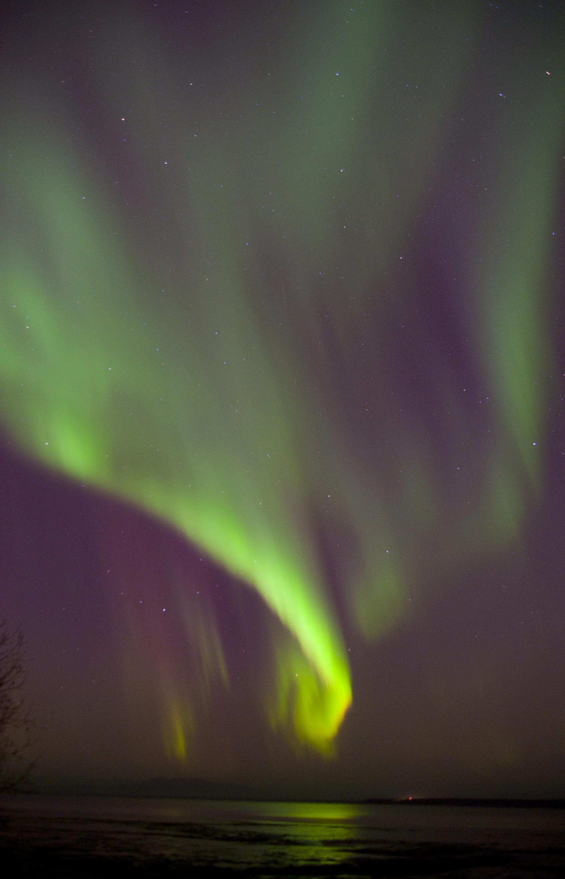 fall lights 1.jpg