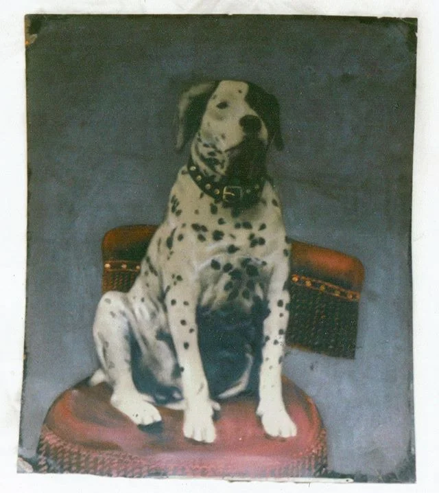 Sold Archive. Exceptional full plate painted tintype.  From ye olden days when you could wander around Brimfield plucking treasures!