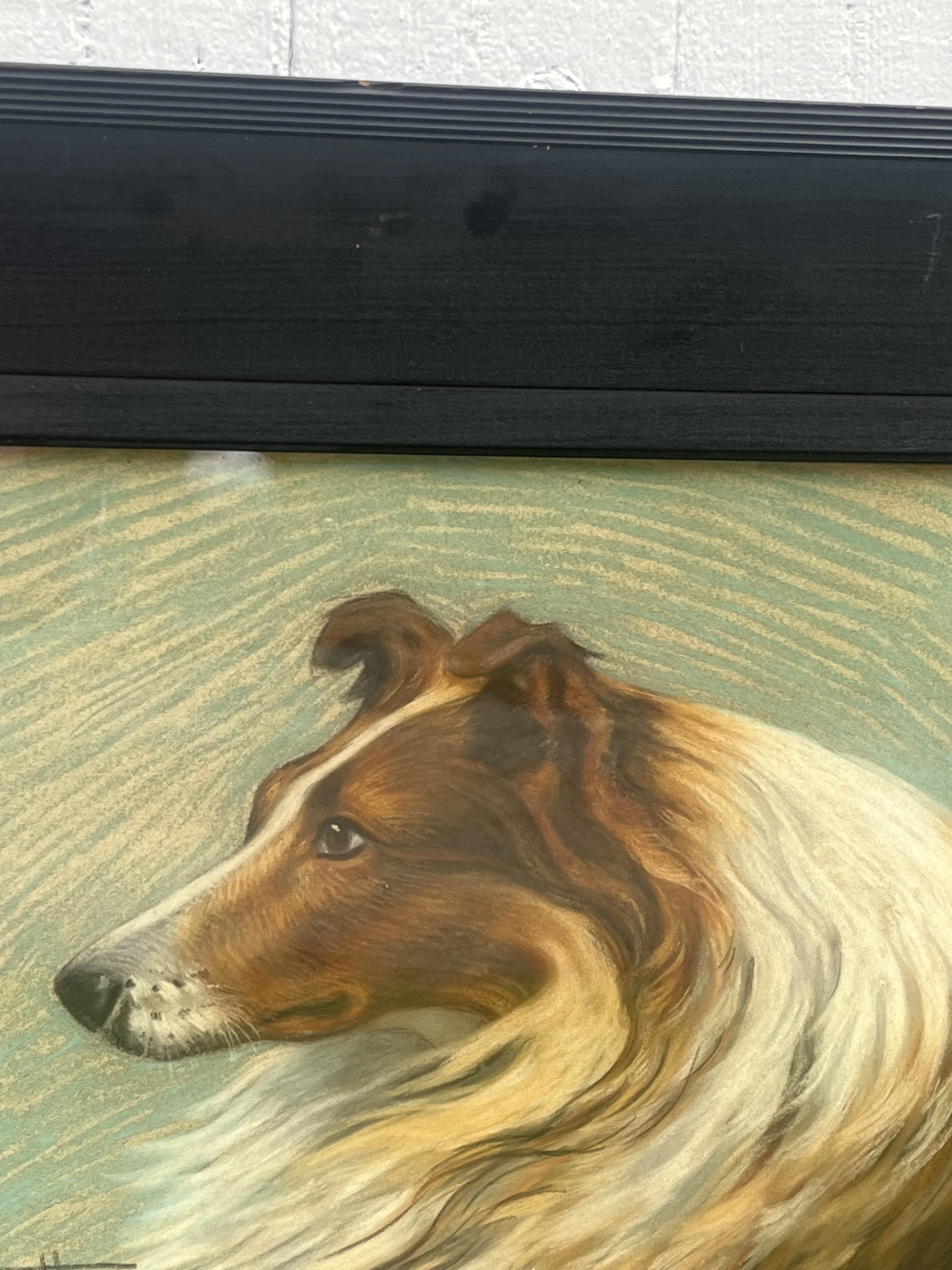 IMG_0521.jpeg