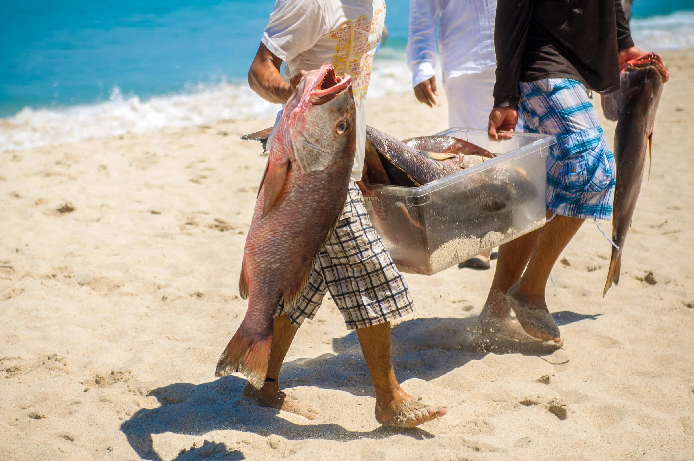 Freshfish-0293.jpg
