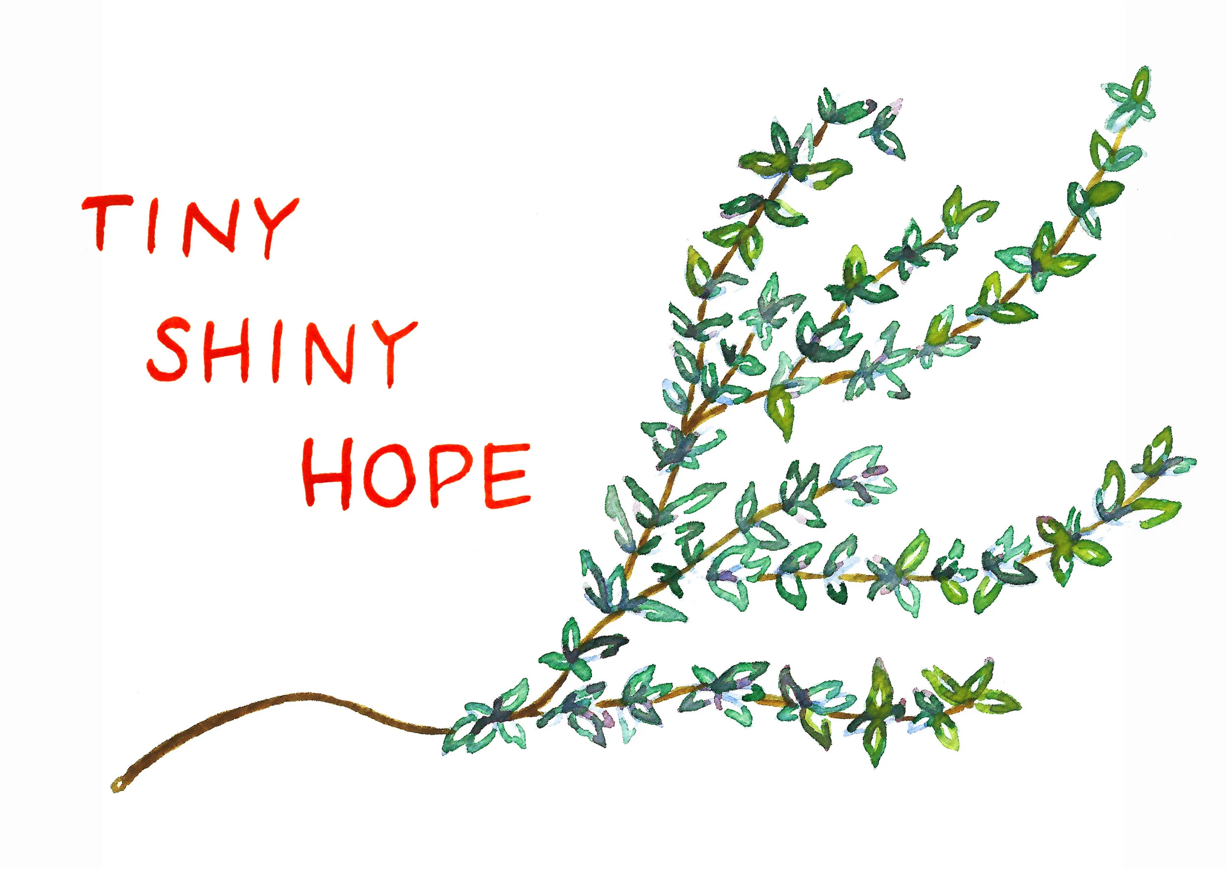 Tiny Shiny Hope by Kate Blanchard.jpg