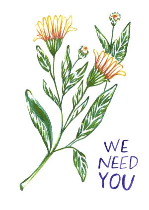 PlantPostcard_Calendula.jpg