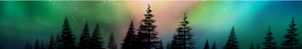 image of a horizon with conifer trees and the northern lights