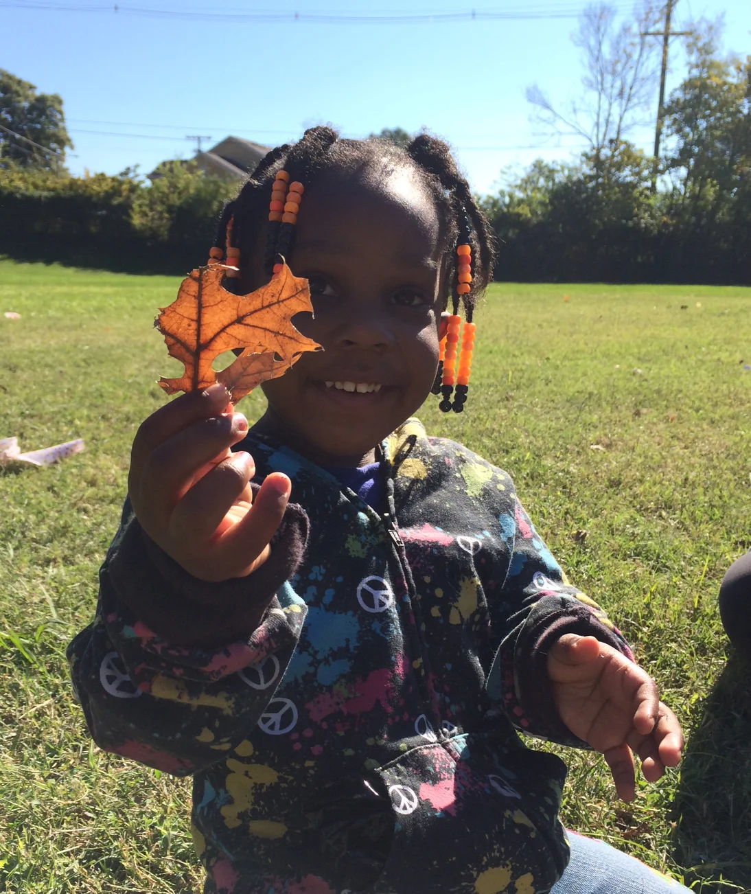 leaf.jpg