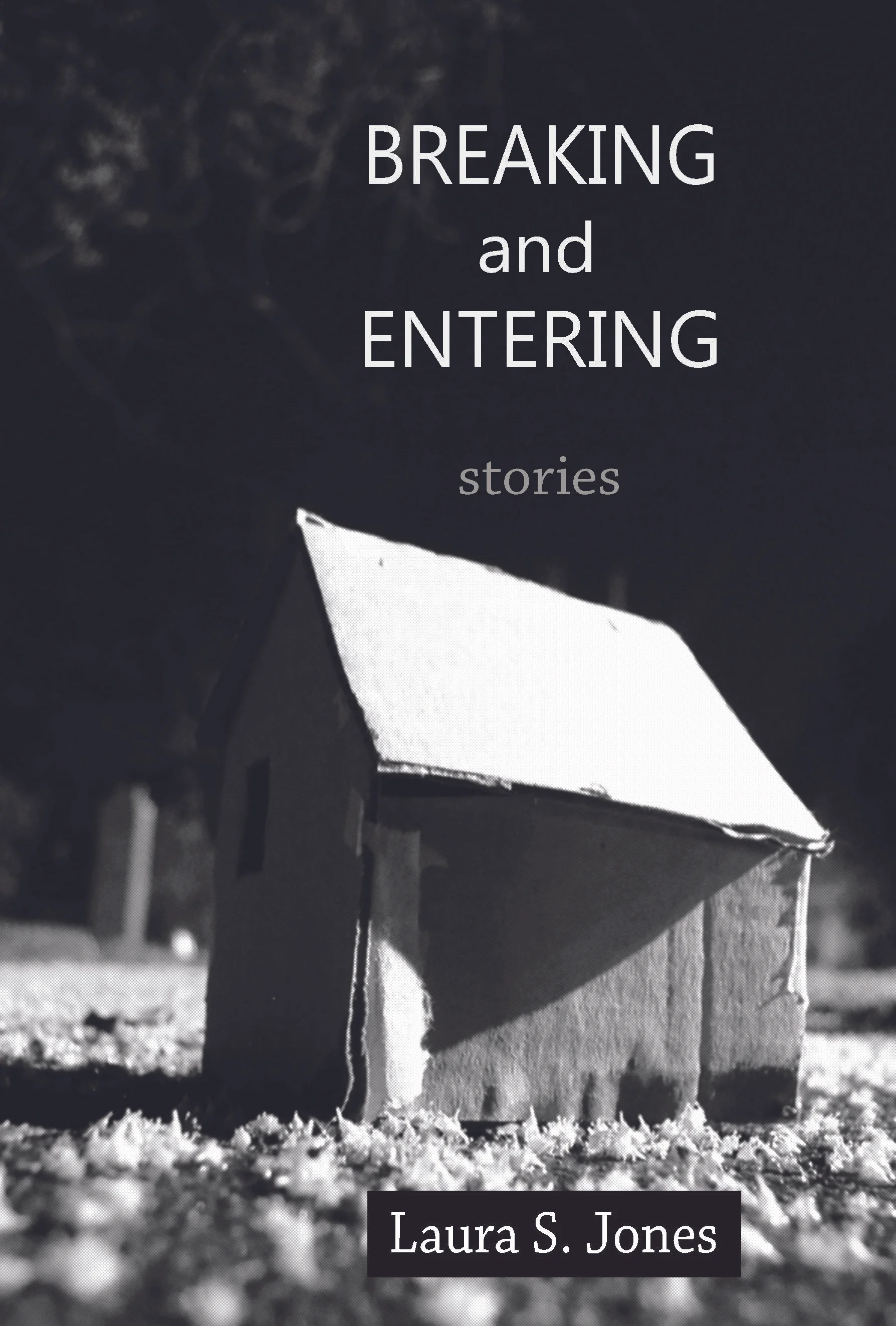 Breaking and Entering - a debut story story collection from Laura S. Jones