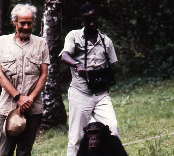 Training Gombe field assistants to record vocalizations