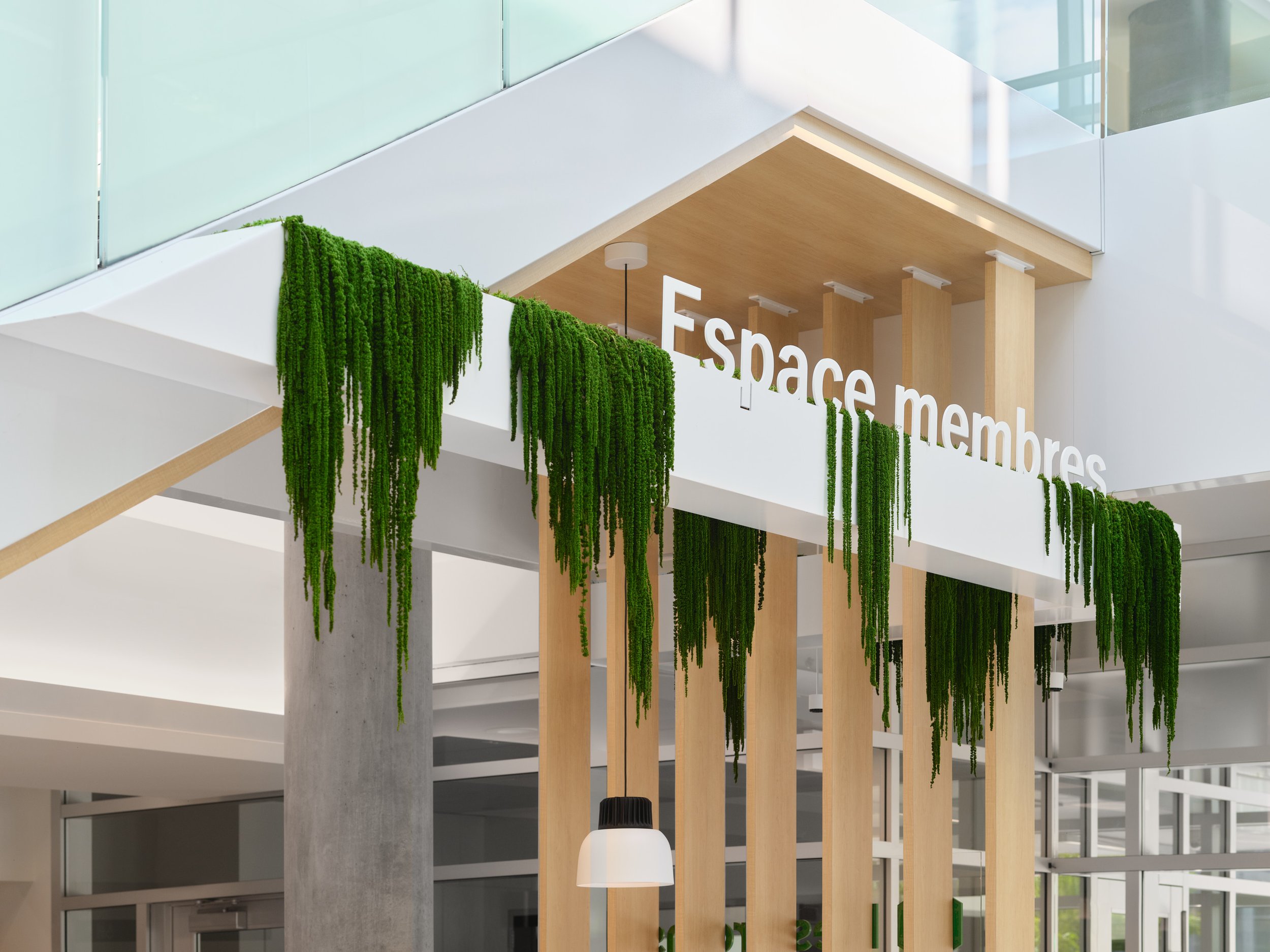 Desjardins Granby - Architecture et Design par MUUK Architecture  Aedifica 