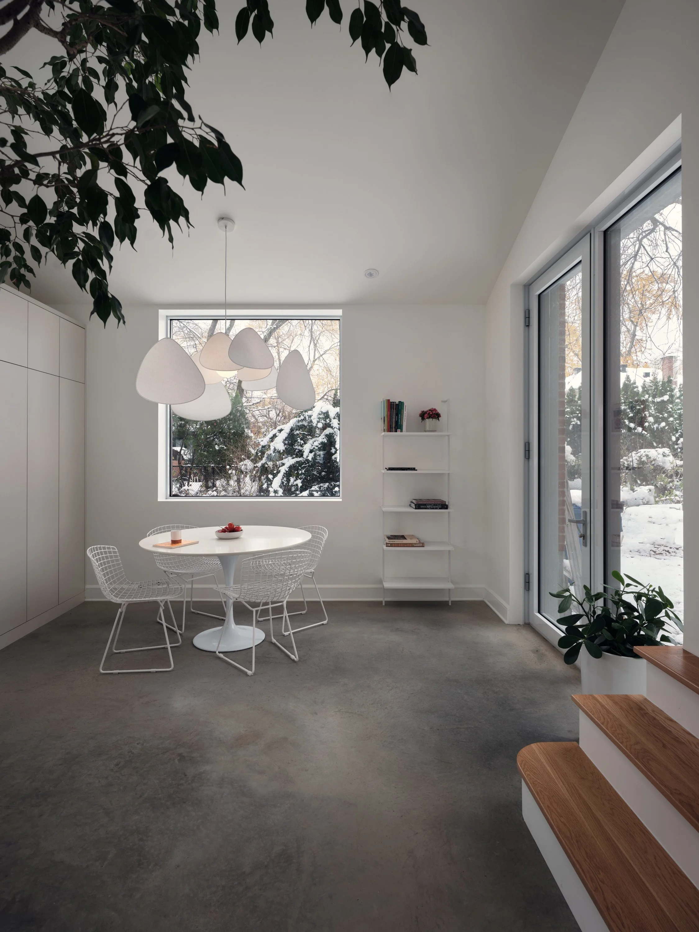 Cigale_Curzon_4104_Web.jpg
