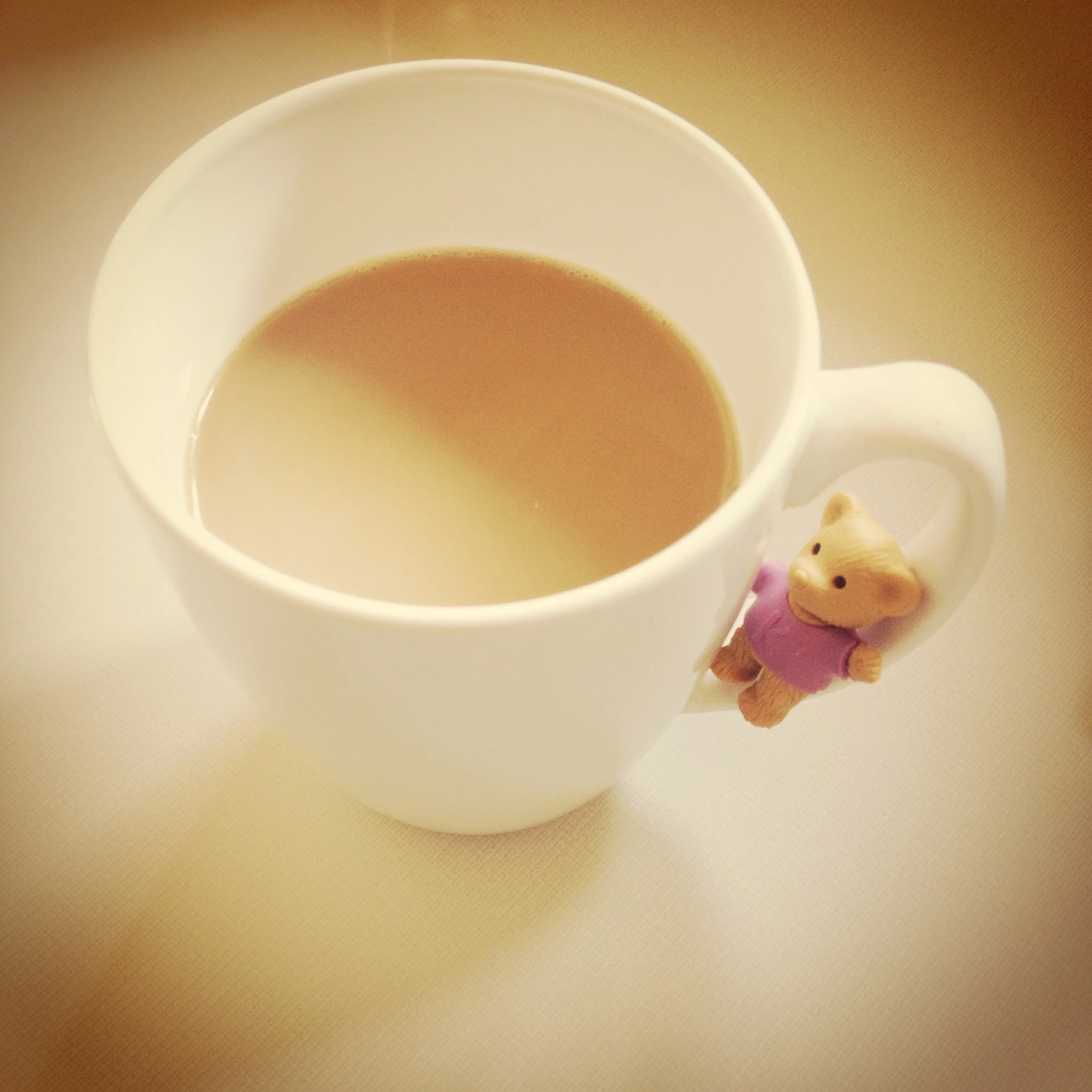 Focus: Creating a Metaphorical Nutshell 