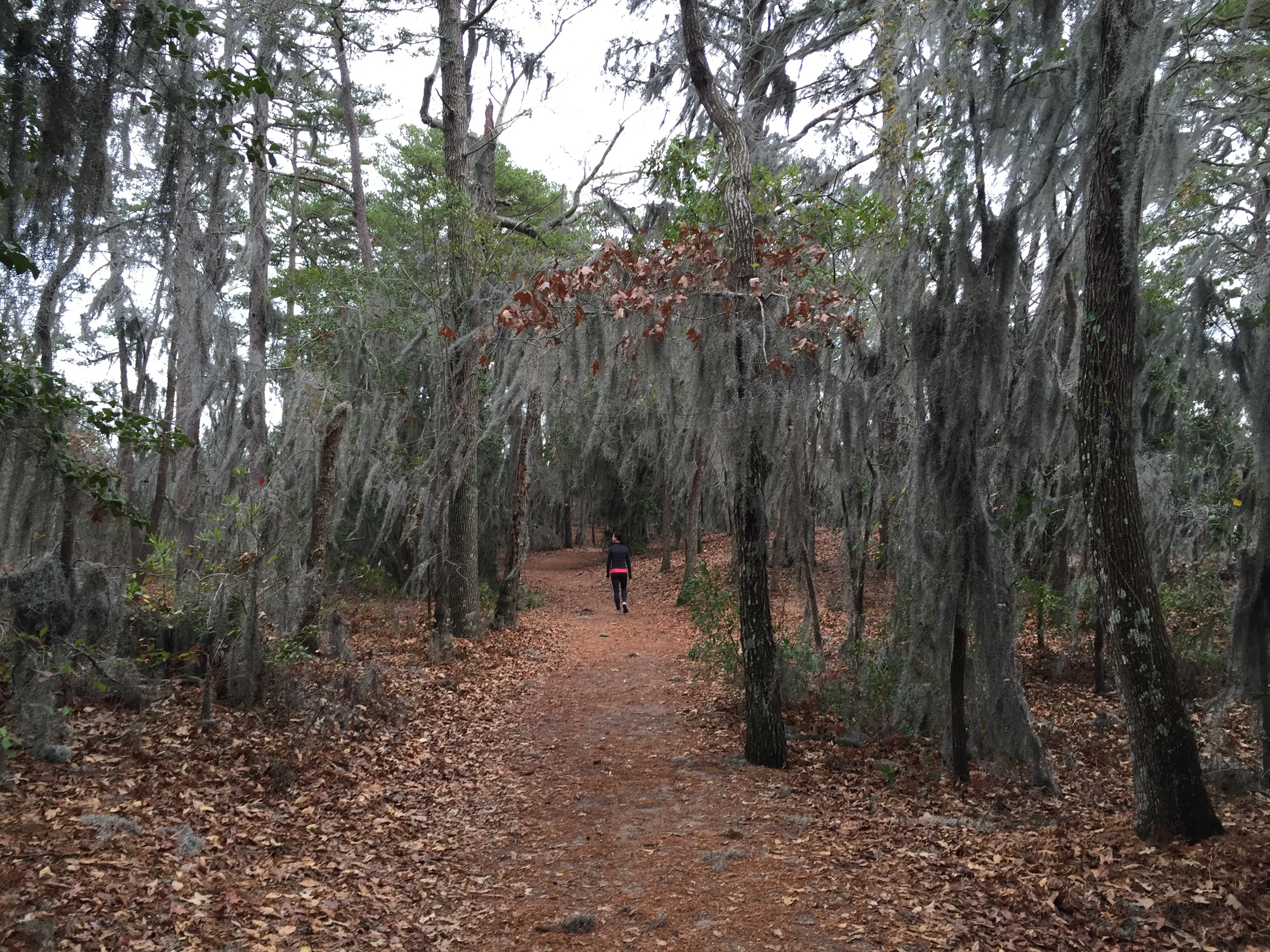 Your Mom Was Right: Sit Up Straight!