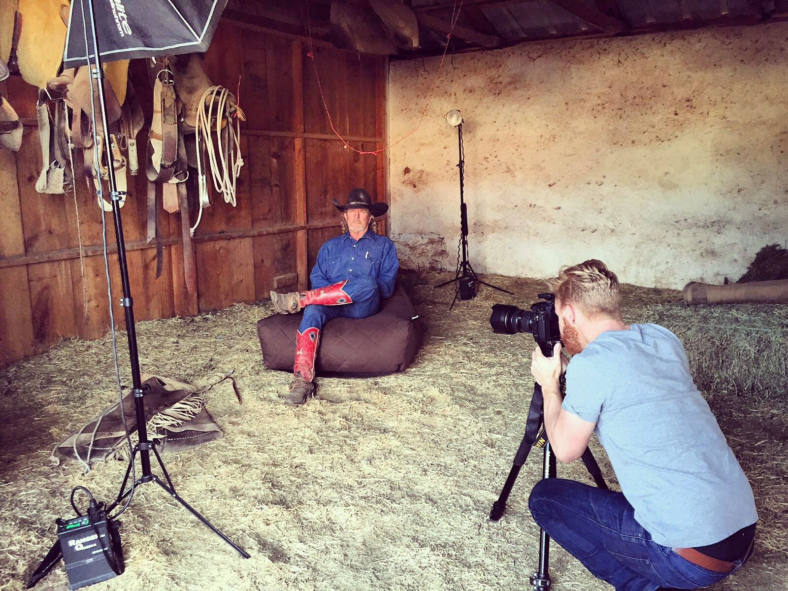 Behind the scenes in the stables