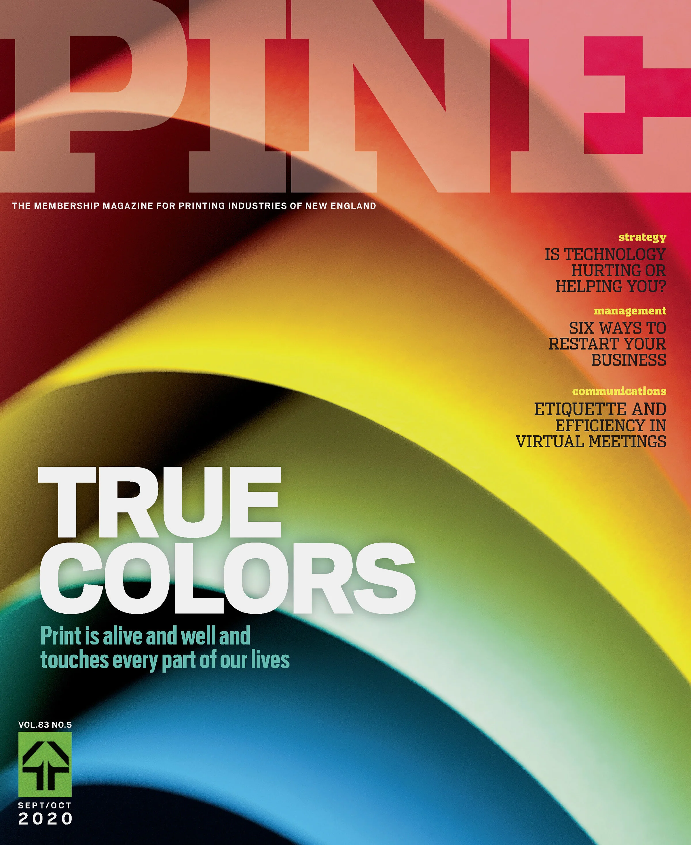 02. C1_PINE.so20.jpg