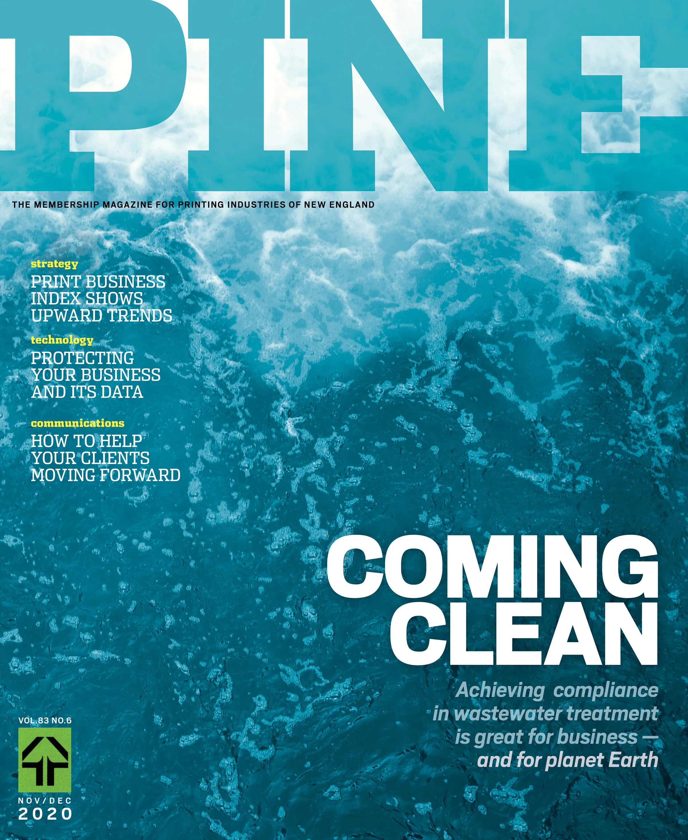03. PINEnd20cover.jpg