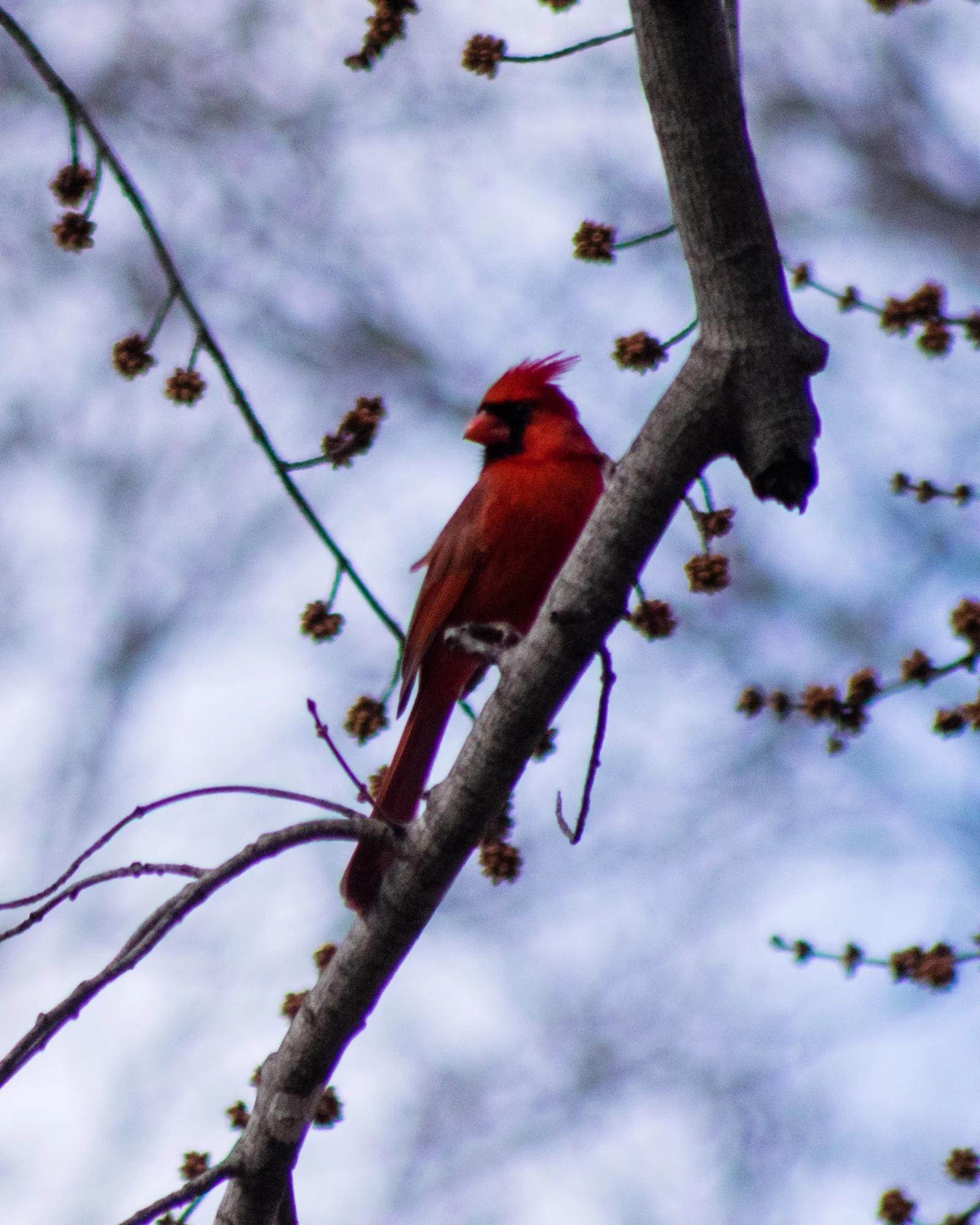 DSC_0776.jpg