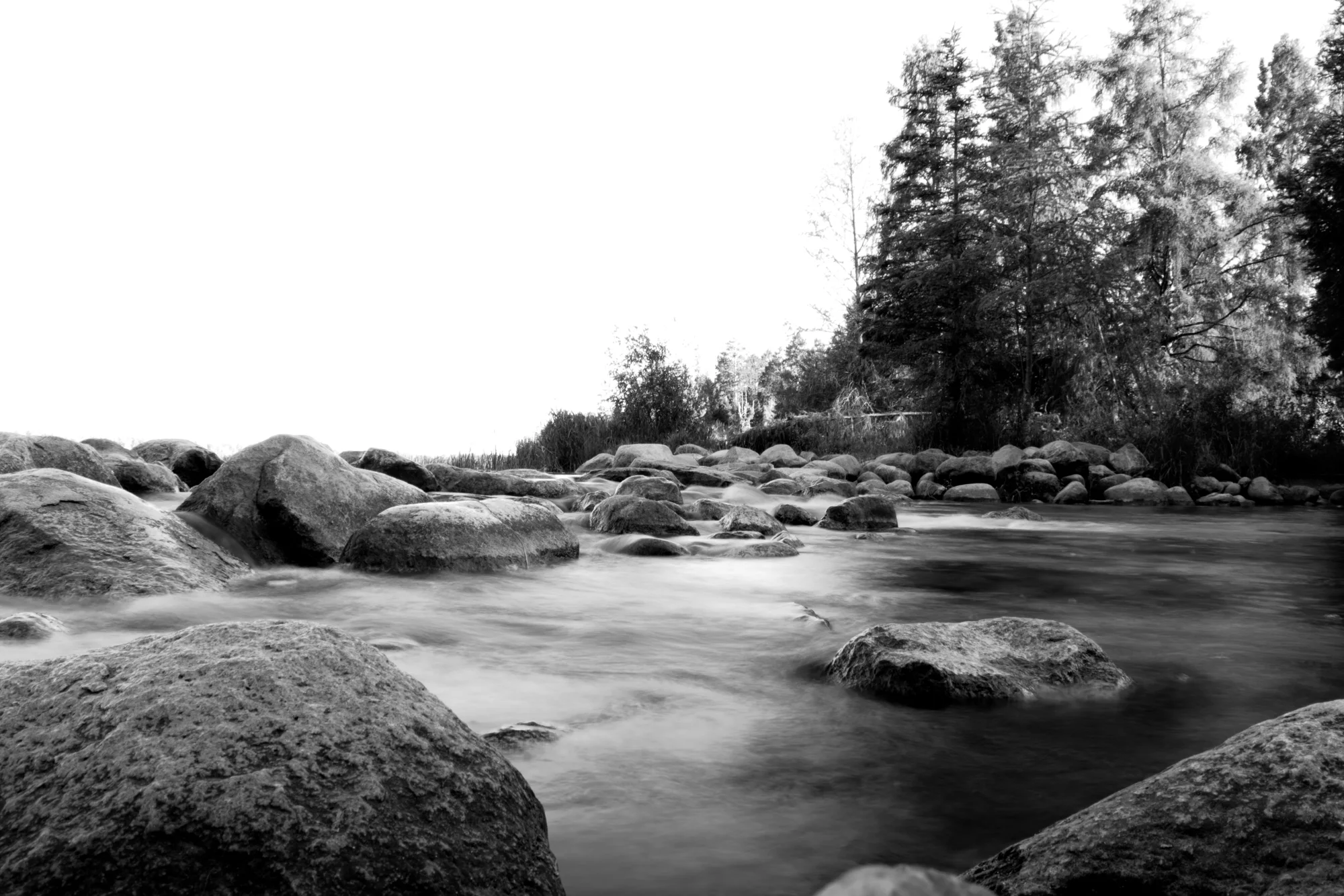 DSC_1010.jpg