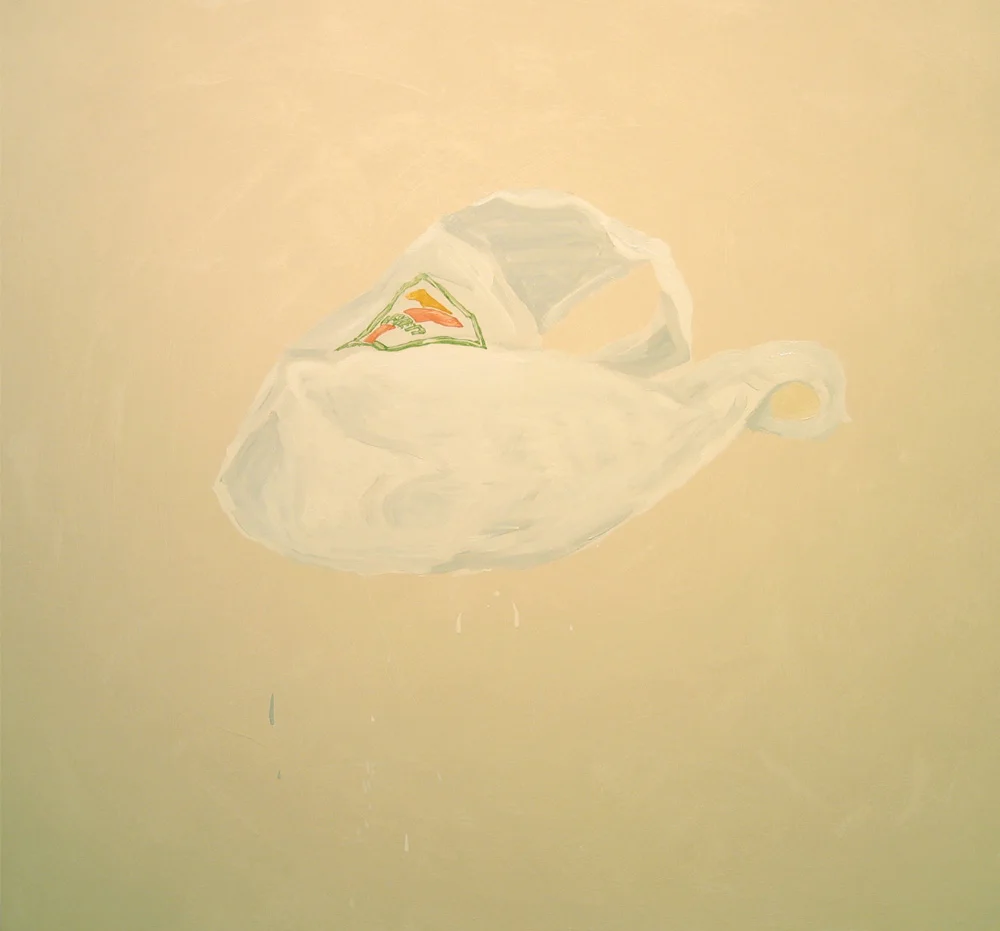 2005_foldesi_bag.jpg