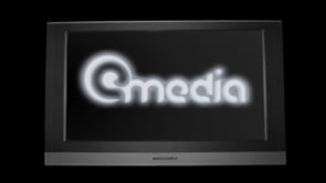 Electronic Media Branding (2007)