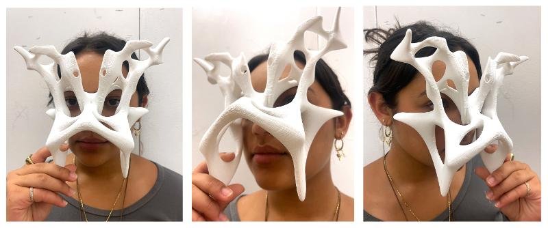 How can the relationship to my physical surroundings be magnified into an appreciation for the subtleties of life? Through this investigation, I explored the juxtaposition of influential formative experiences regarding my upbringing in Miami and Arg