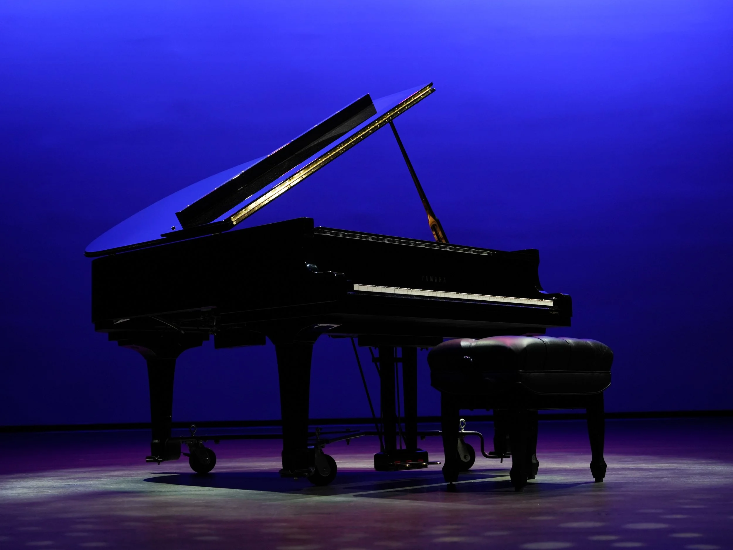 fvt leah piano stage-2.JPG