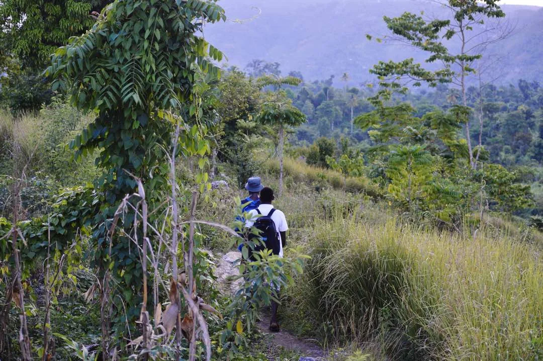 doko road.jpg