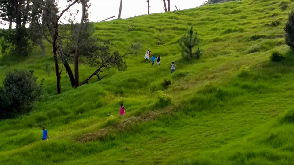 children on a hill.jpg