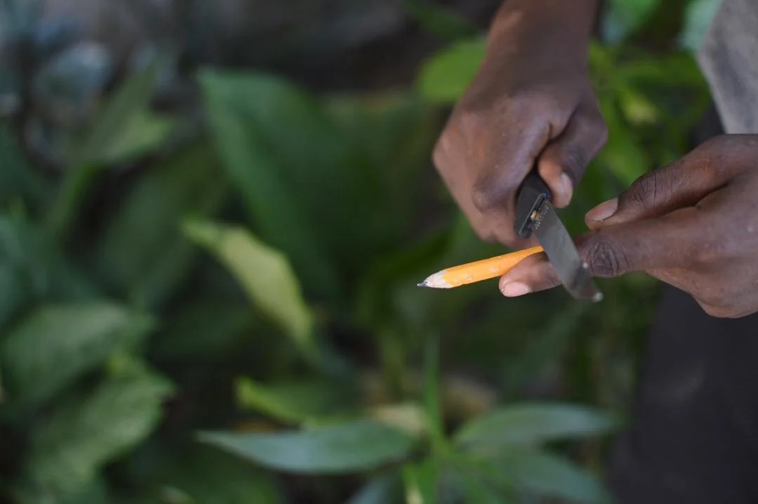 Malè pa gen klaksòn