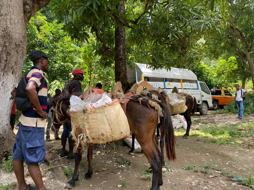 WhatsApp Image 2020-08-29 at 5.19.44 PM.jpeg