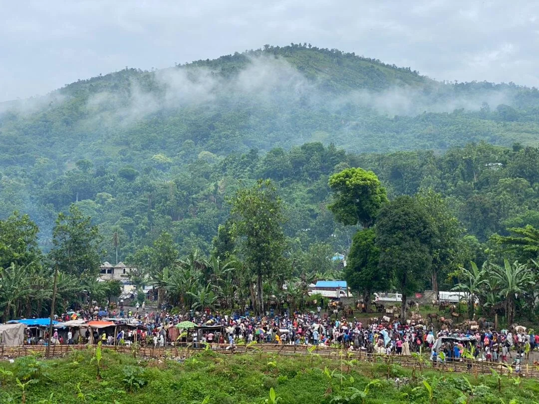 An update - August 29, 2021