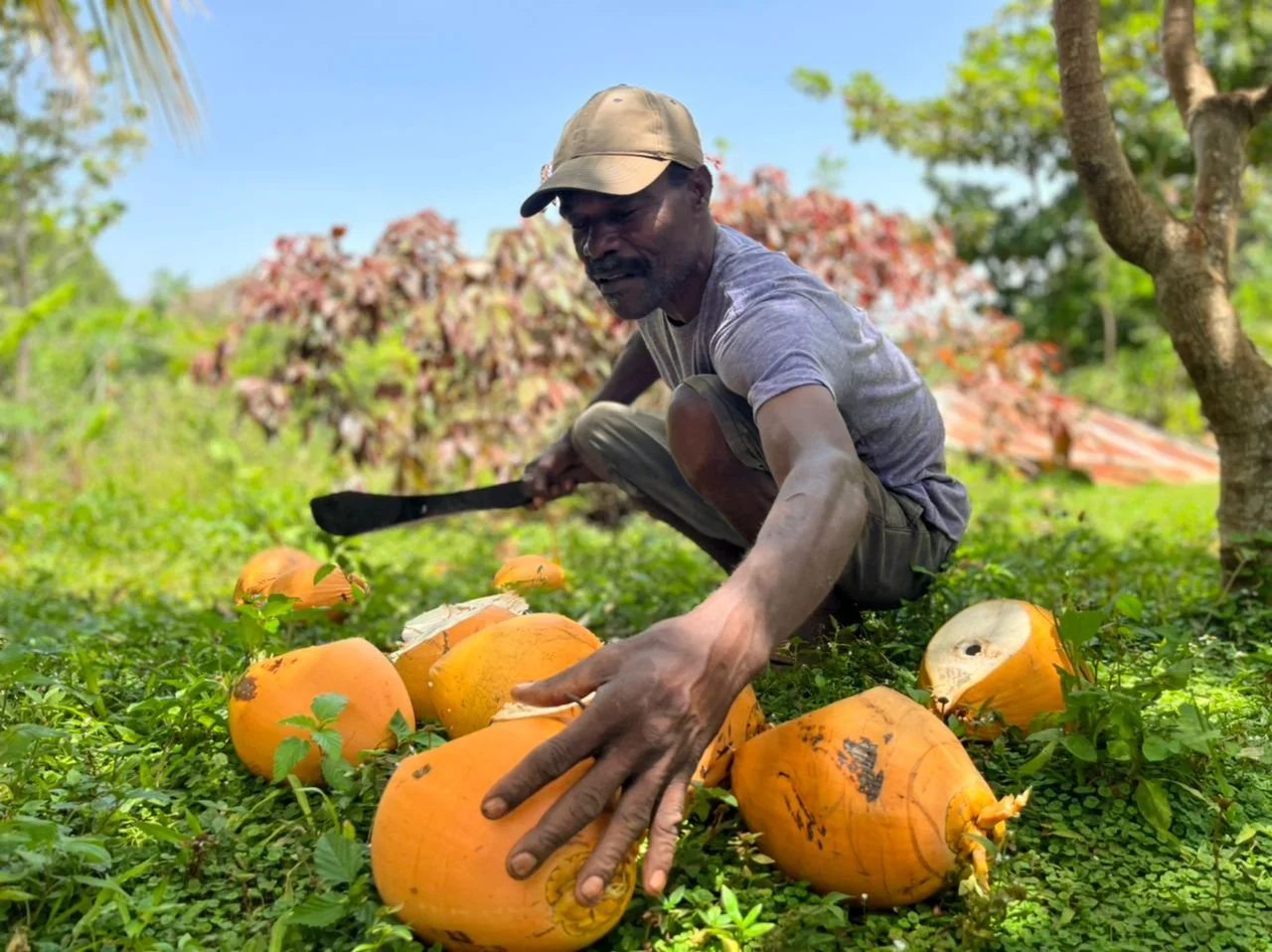 Glimpses of Haiti - Part 1