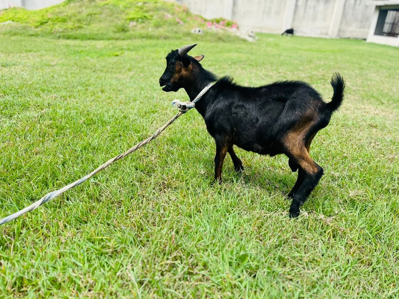 “Sa k nan vant ou, se li ki pa w.”