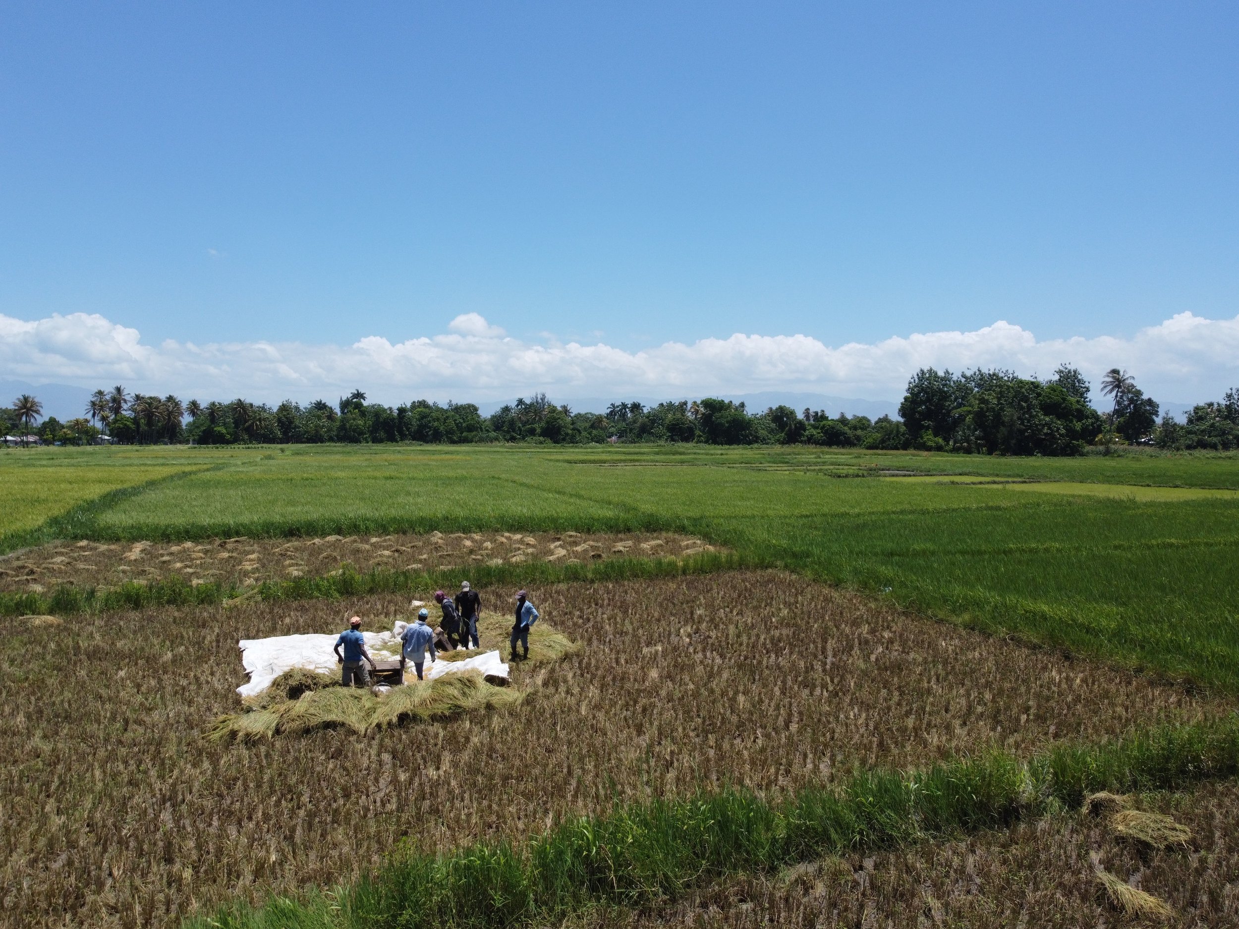 Thoughts and Observations from a Summer Intern