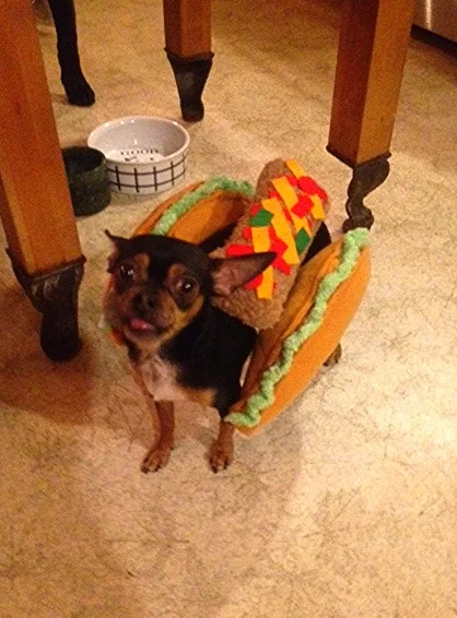 WinstonTaco.JPG
