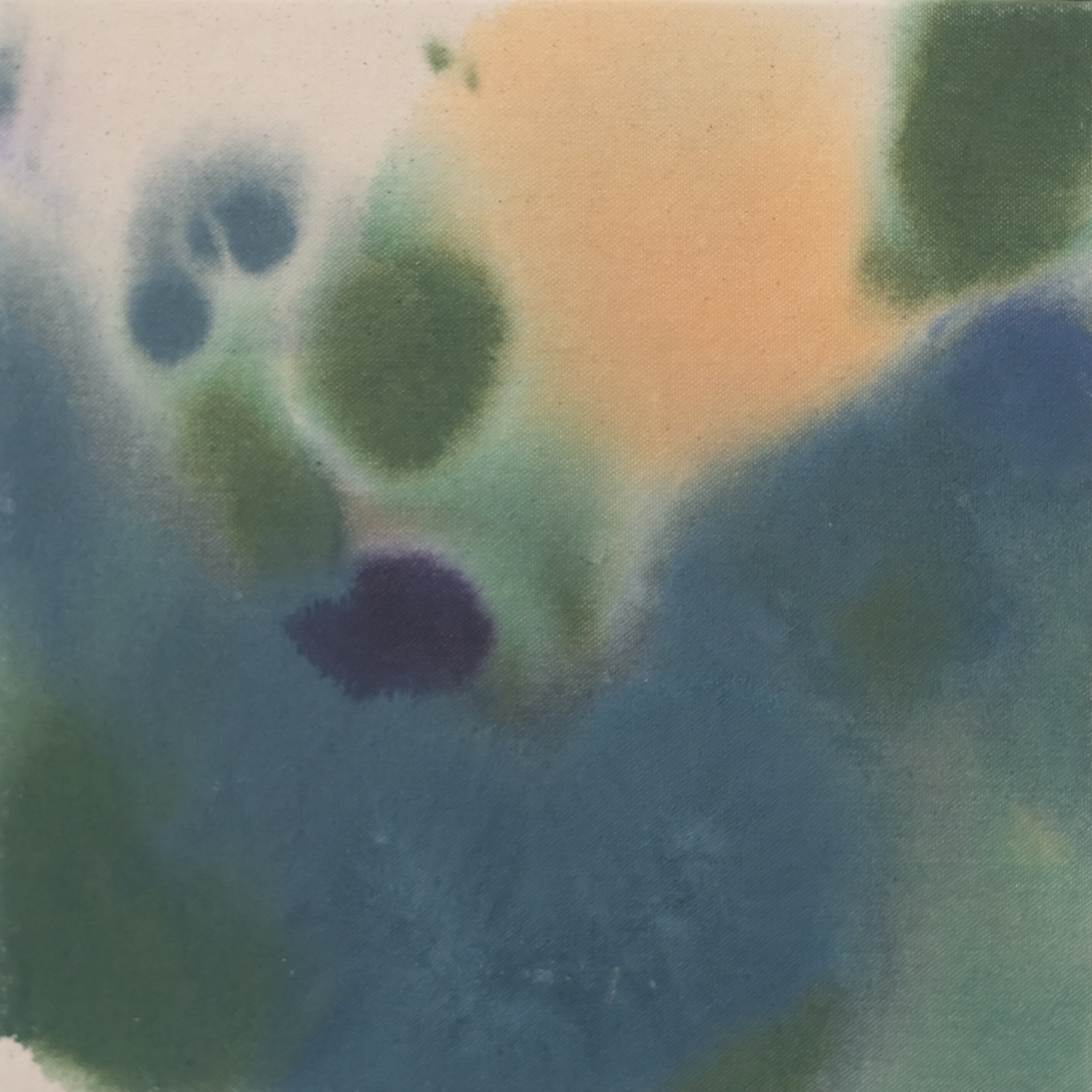ClaiborneColombo_2026_Sometimes-I-forget_cropped.jpg