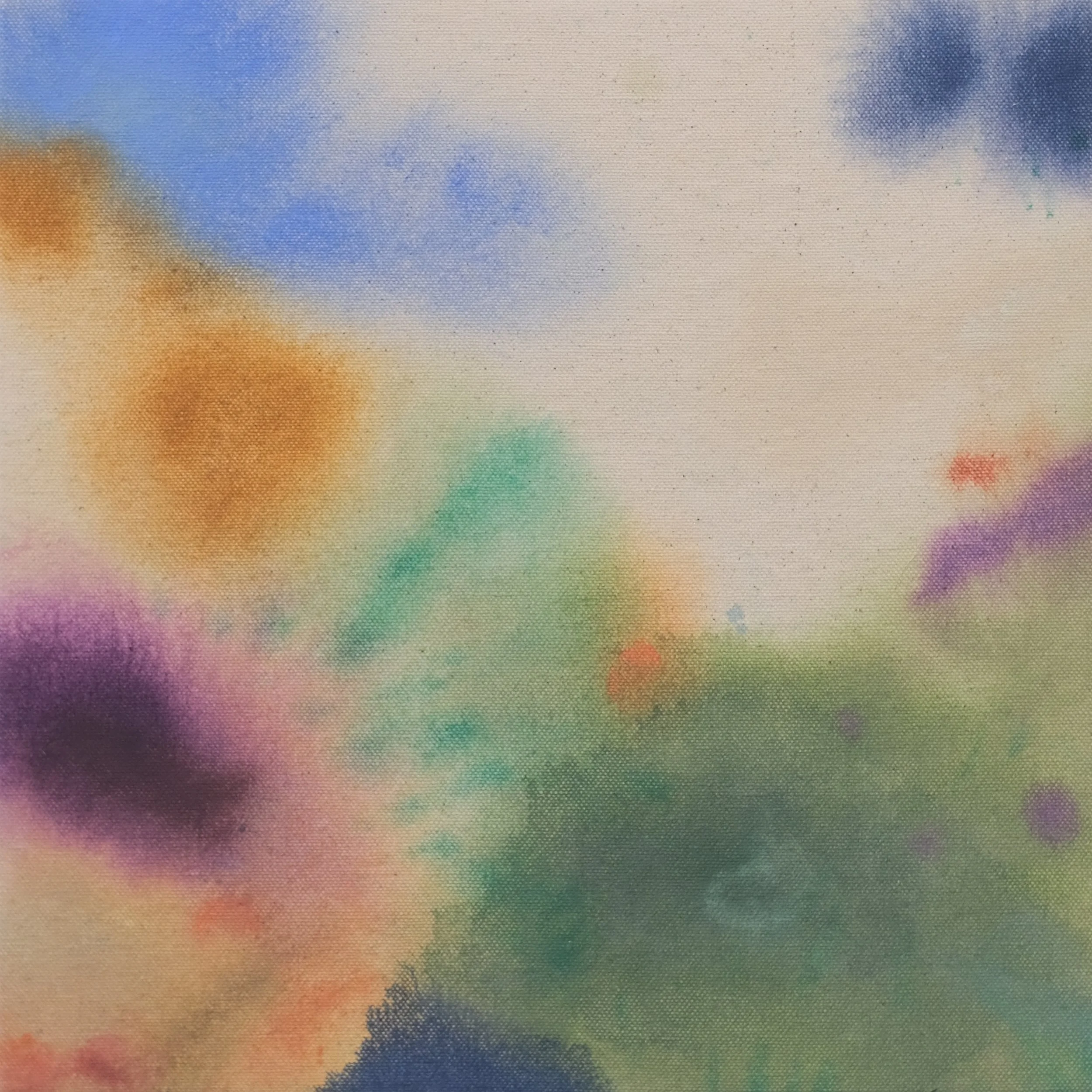 ClaiborneColombo_2026_I-wish-the-wildflowers_cropped.jpg