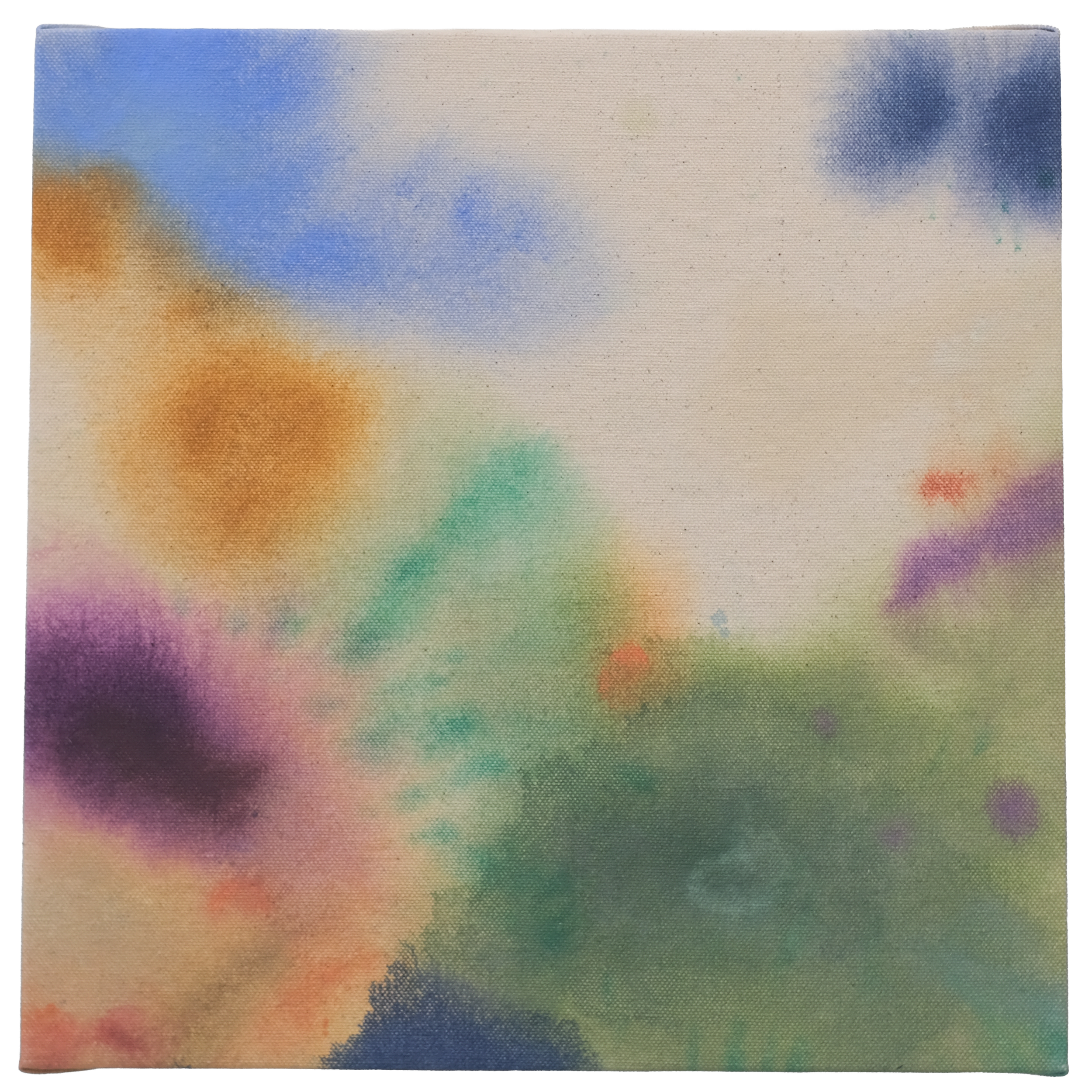 ClaiborneColombo_2026_I-wish-the-wildflowers.png