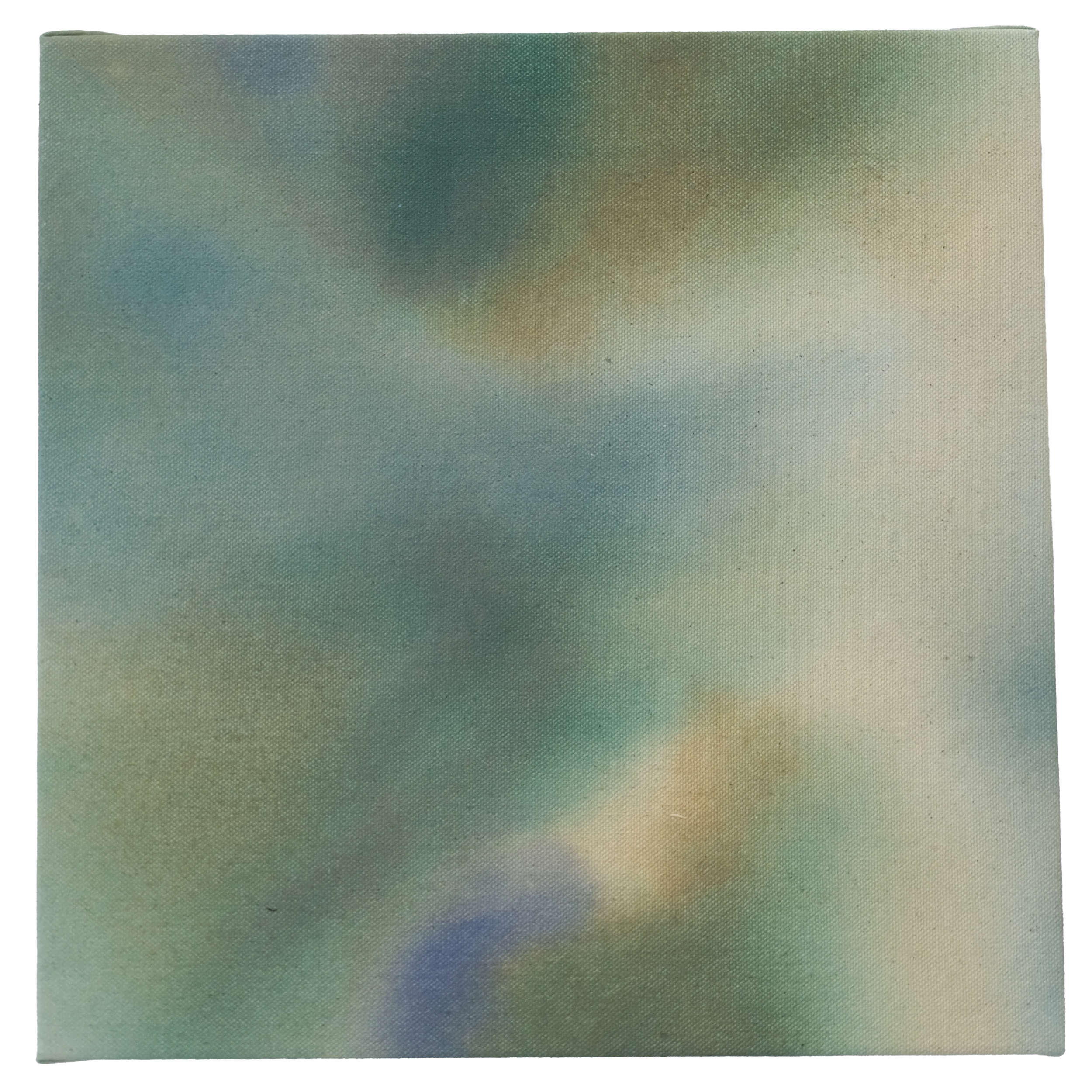 ClaiborneColombo_2026_Bet-that-seaweed-taste-good.png