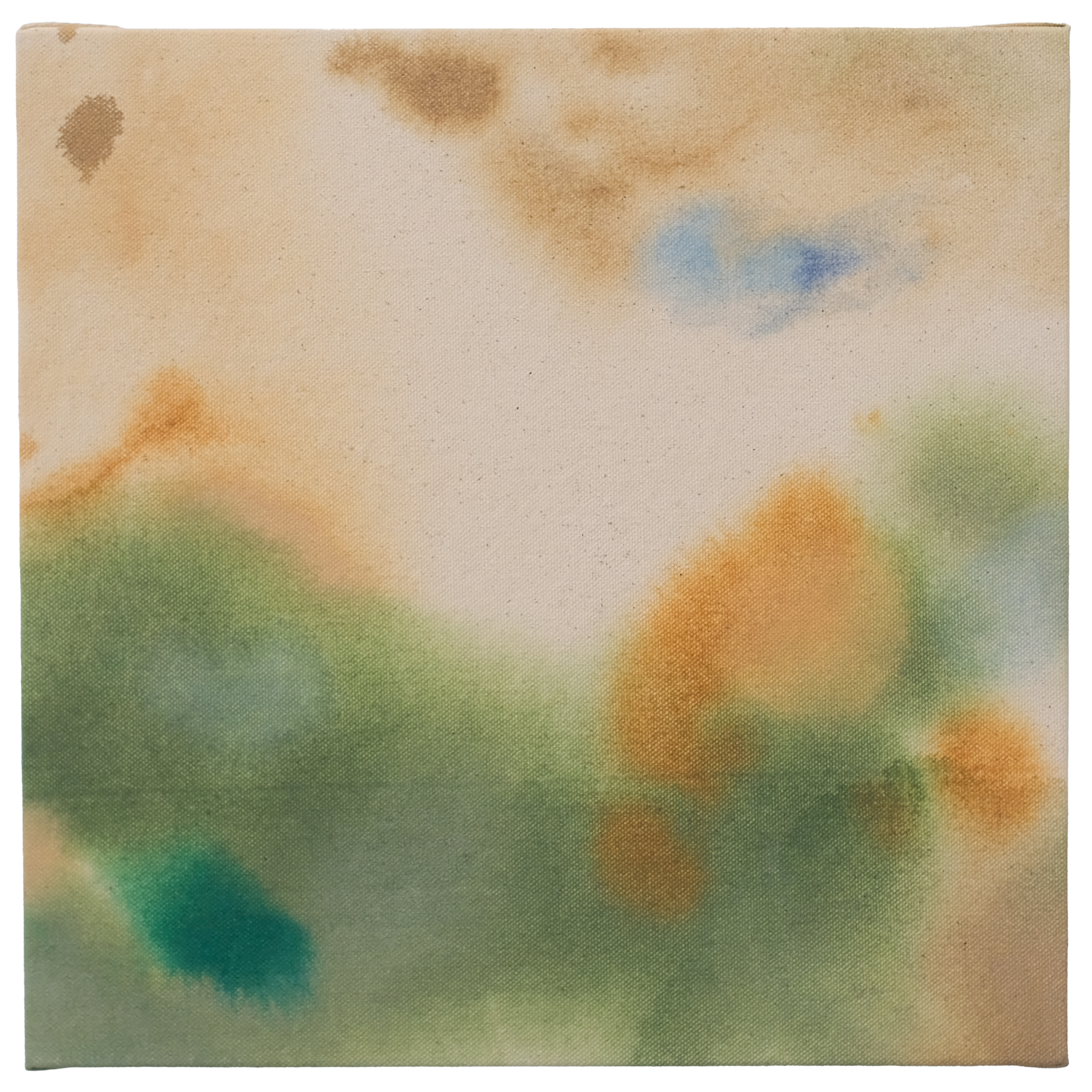 ClaiborneColombo_2026_The-grass-needs-to-get-cut.png