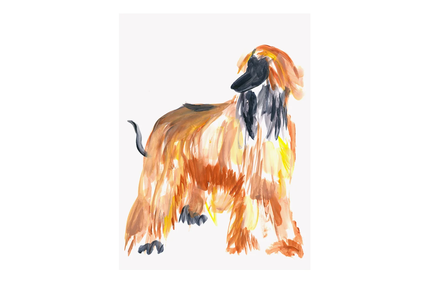 Kirwin_AfghanHound.jpg