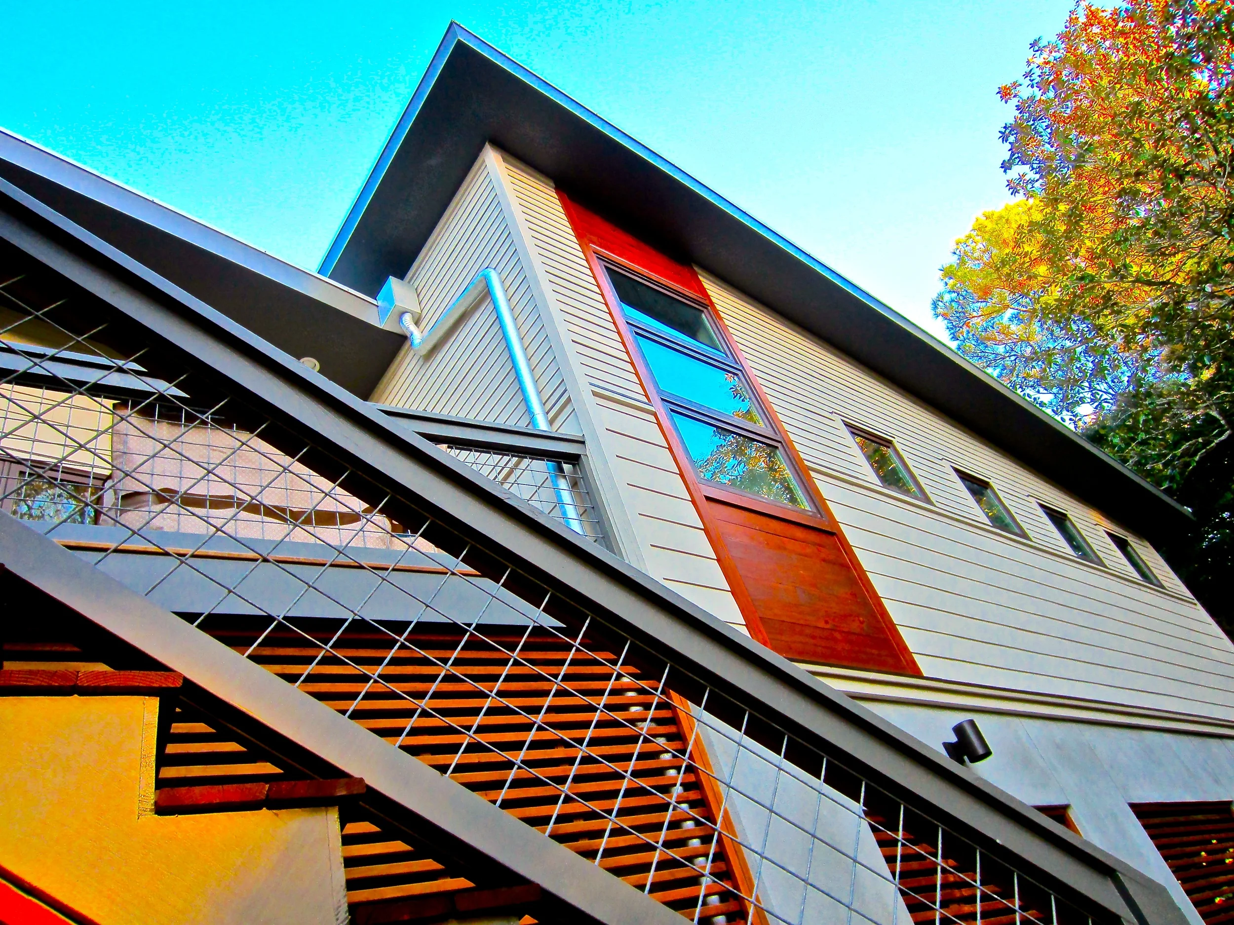 IMG_1736 - Version 2.JPG