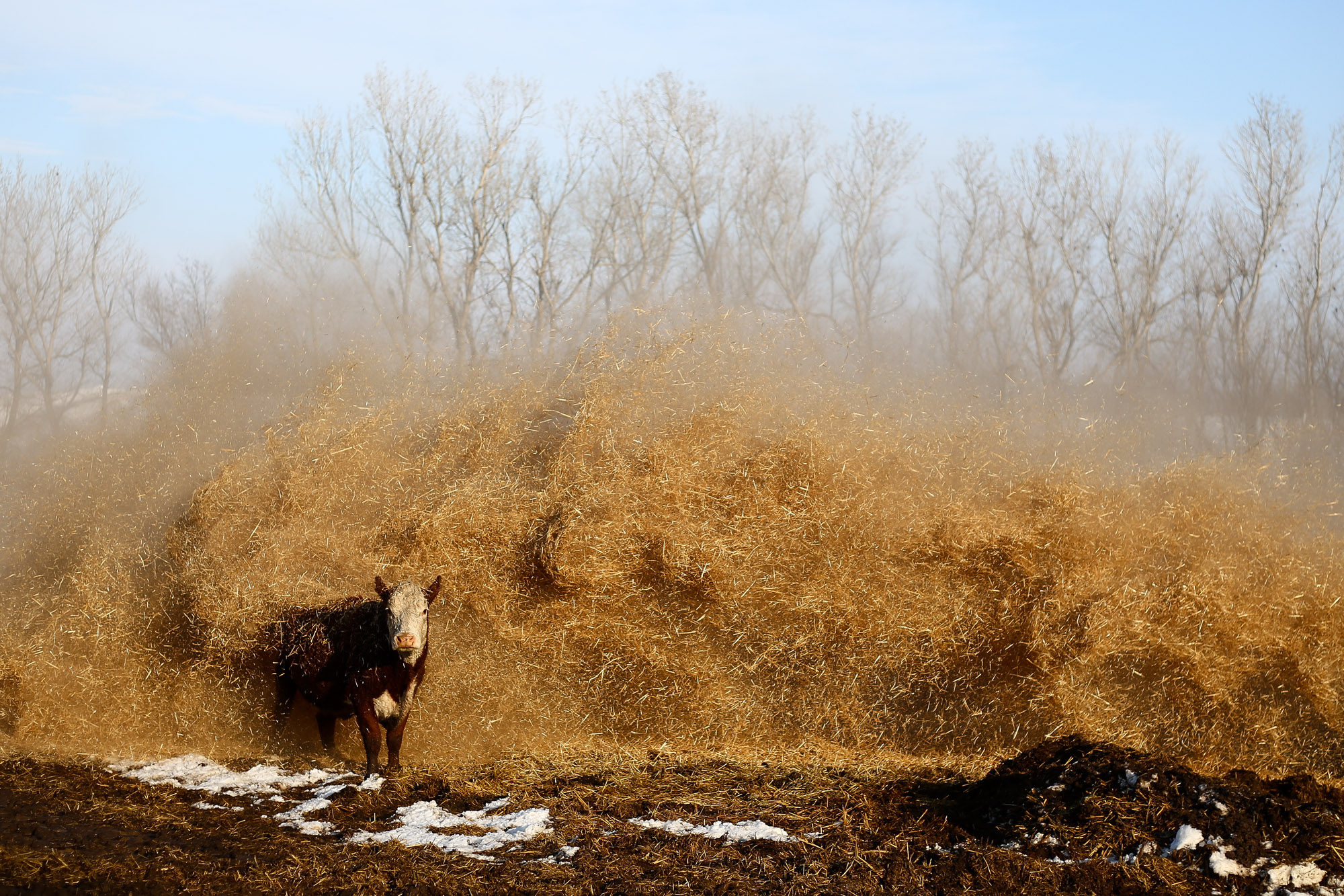 130226.aam.drought_0026.jpg